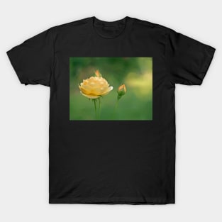 Mellow Yellow Rose T-Shirt